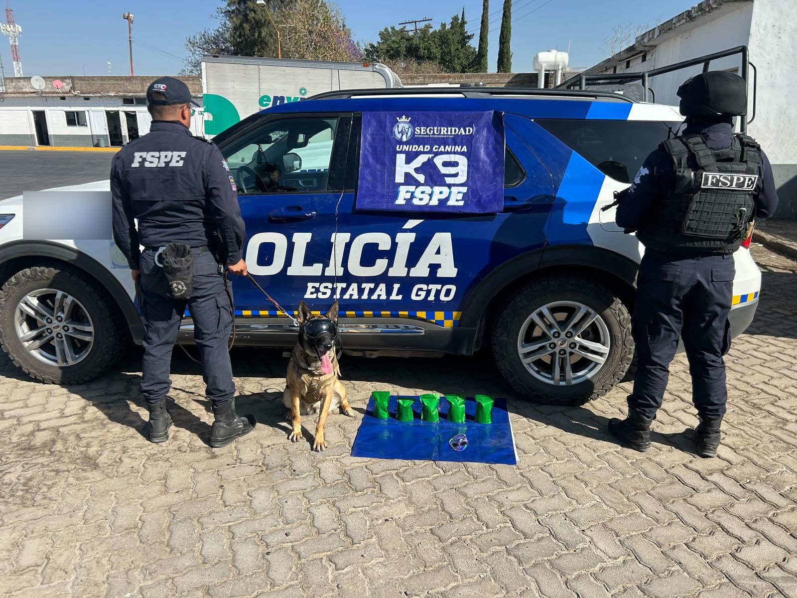 Nada se le pasa a Janka, el oficial canino que evitó que enviaran hierba de Irapuato a Vallarta